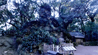 花窟神社○三重縣熊野市有馬町上地