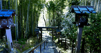久延彥神社○奈良縣櫻井市三輪大御輪寺