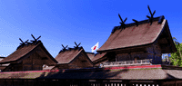 出雲大社攝社 御向社 大神大后神社○島根縣出雲市大社町杵築東