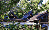 大和神社 右殿○奈良縣天理市新泉町星山