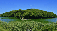 仲哀天皇恵我長野西陵 岡ミサンザイ古墳○大阪府藤井寺市藤井寺