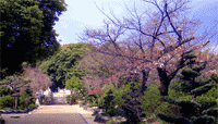 譽田八幡宮 放生橋○大阪府羽曳野市譽田