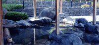 出石温泉館 乙女之湯○兵庫縣豐岡市出石町福住