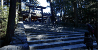 伊勢神宮 皇大神宮 正宮○三重縣伊勢市宇治館町