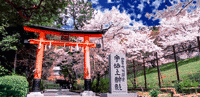 宇治上神社○京都府宇治市宇治山田
